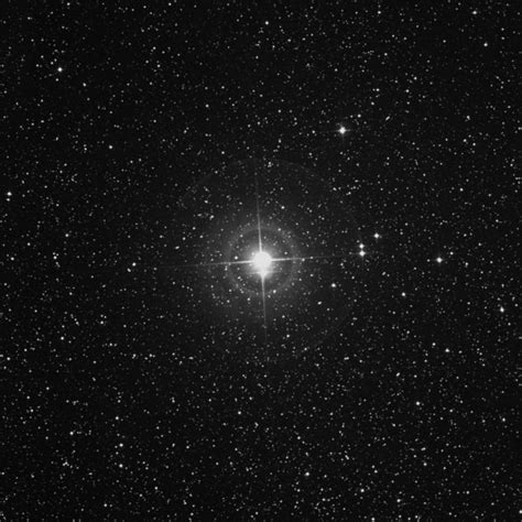 cepheusstar.top|Cepheus Star.